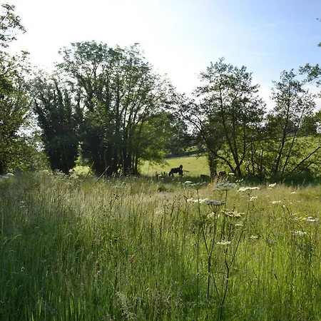 Horská chata Large Luxury Shepherds Hut With Hot Tub Nr Bath *